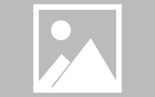 凉山网页设计英文默认字体（网页设置英文转换中文）